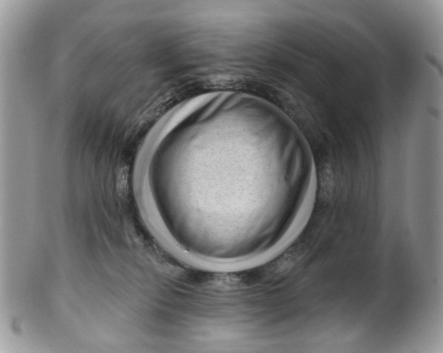 X0000099500278200806051130