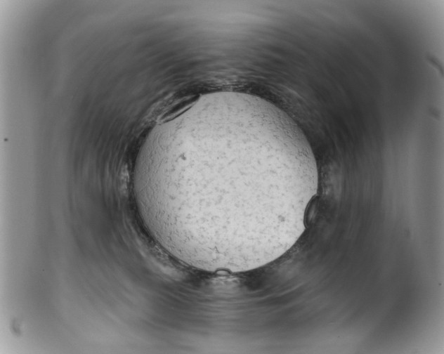 X0000099500279200806051130