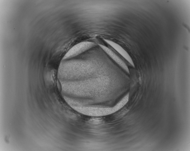 X0000099500280200806051130