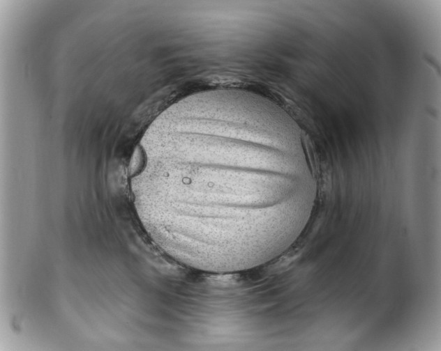 X0000099500281200806051130