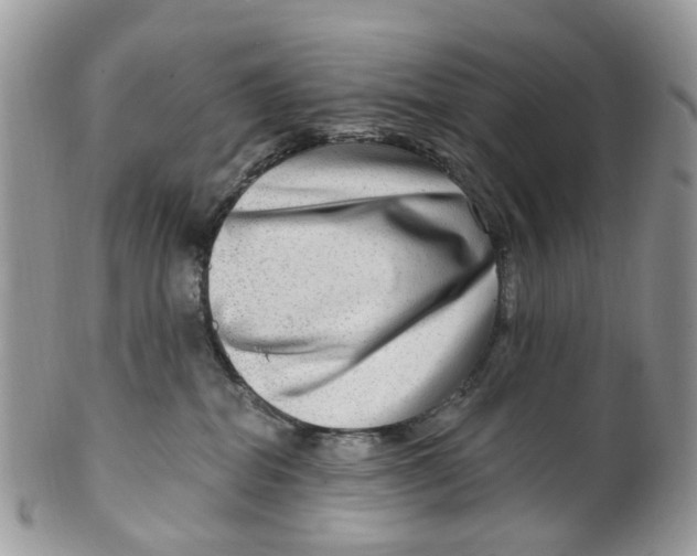 X0000099500282200806051130