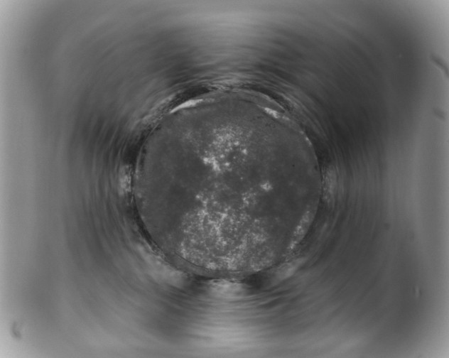 X0000099500284200806051130