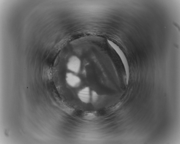 X0000099500285200806051130