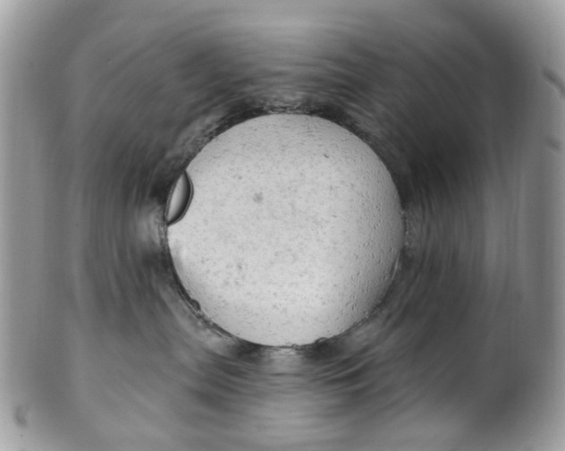 X0000099500287200806051130