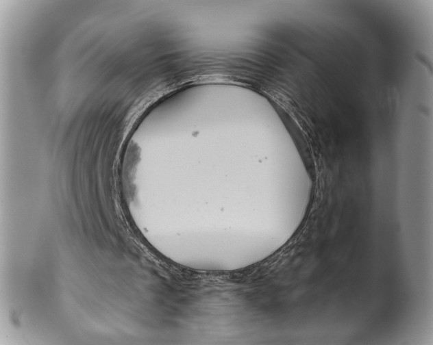 X0000099500289200806051129