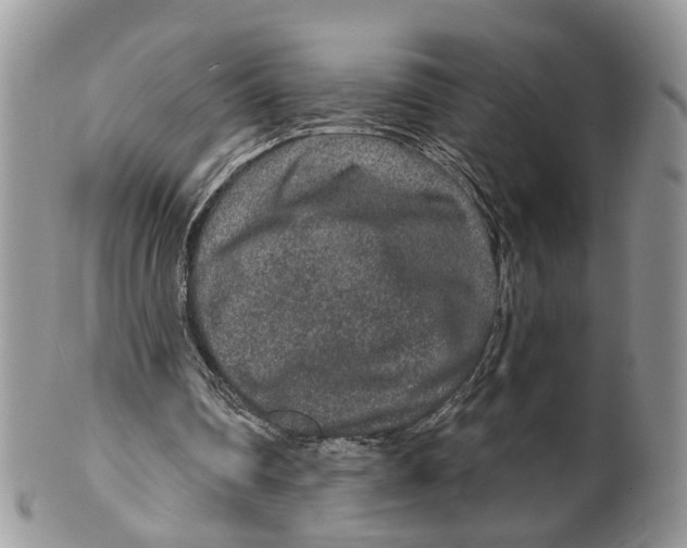 X0000099500290200806051129