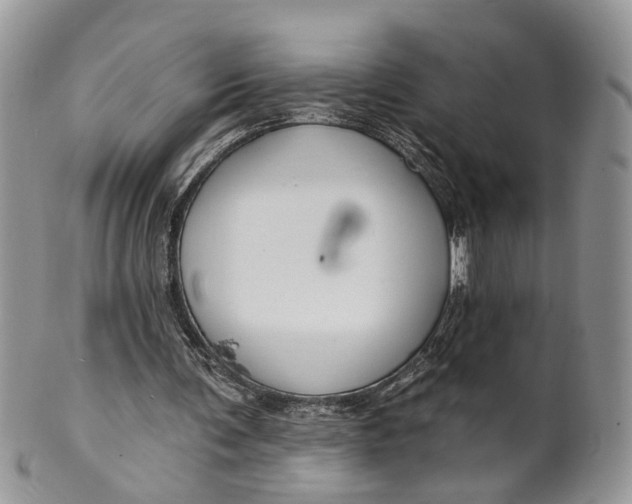 X0000099500291200806051129