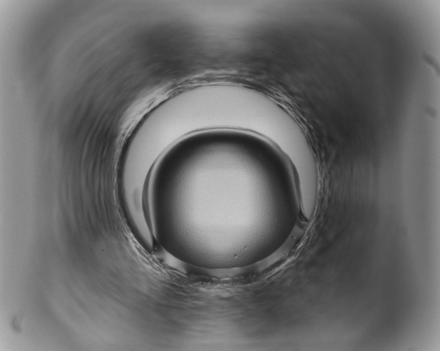 X0000099500293200806051129