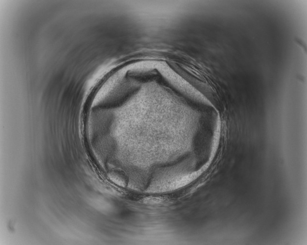 X0000099500294200806051129