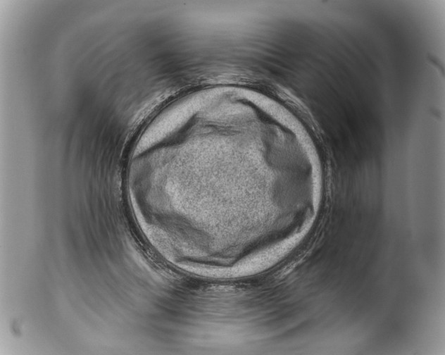 X0000099500298200806051129