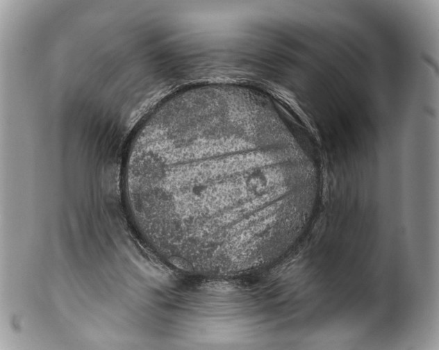 X0000099500299200806051129