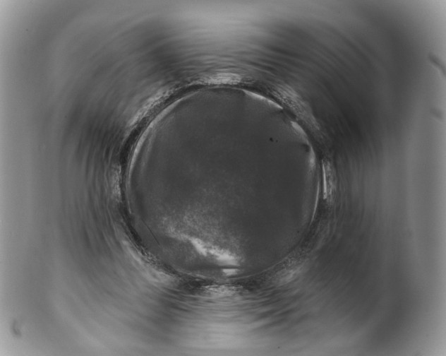 X0000099500300200806051129