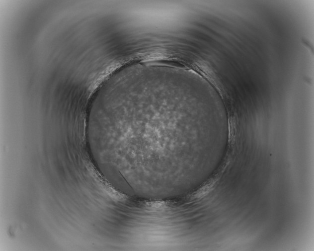 X0000099500301200806051129