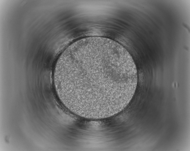 X0000099500302200806051129