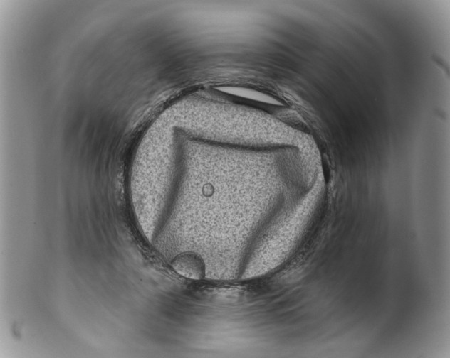 X0000099500306200806051129