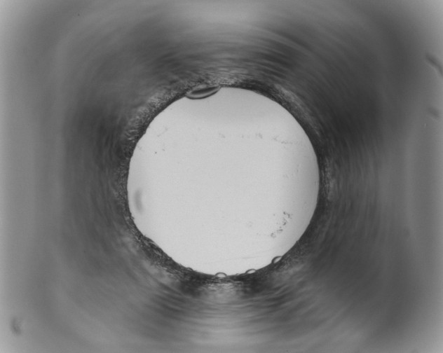 X0000099500307200806051129