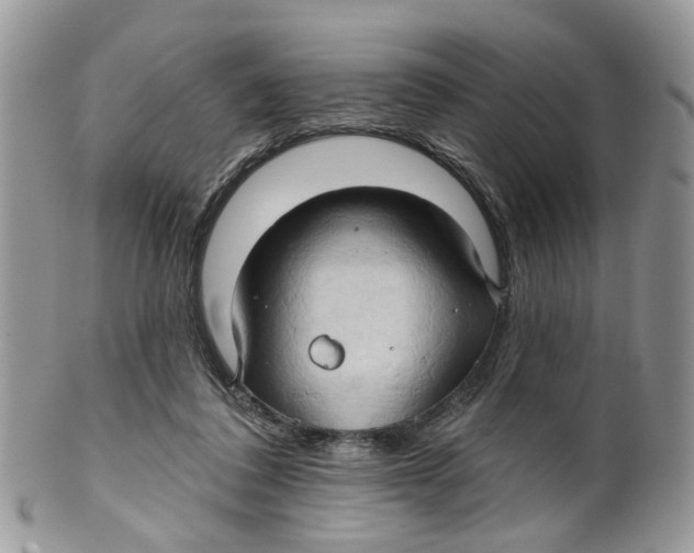 X0000099500308200806051129