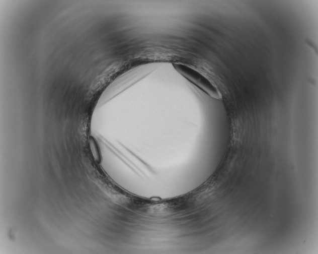 X0000099500309200806051129