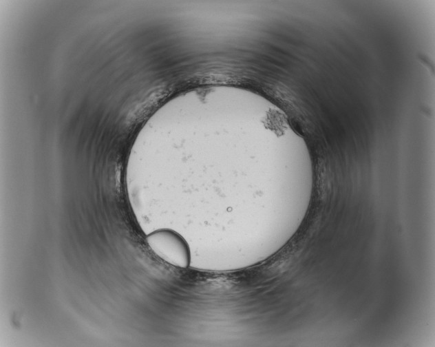 X0000099500310200806051129