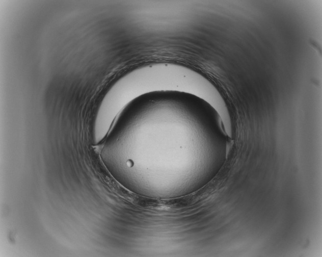 X0000099500312200806051129