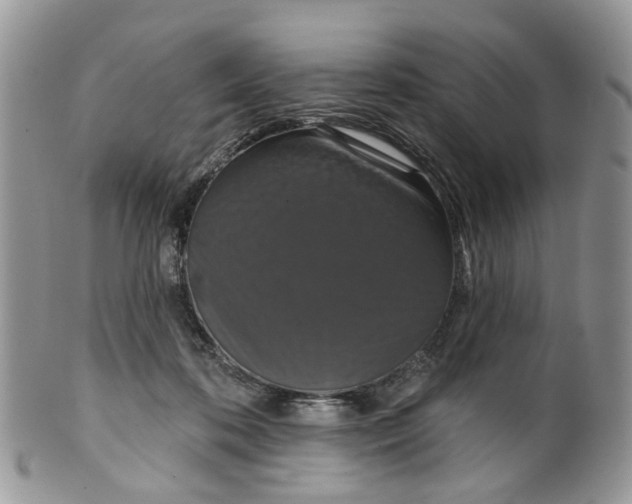 X0000099500316200806051129