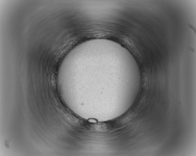 X0000099500317200806051129