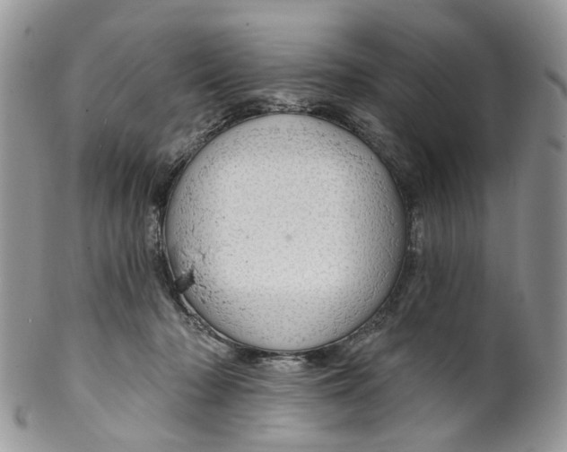 X0000099500318200806051129