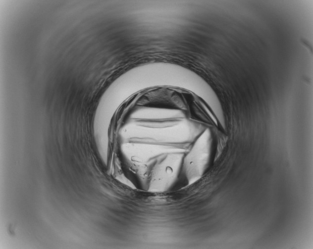 X0000099500320200806051129