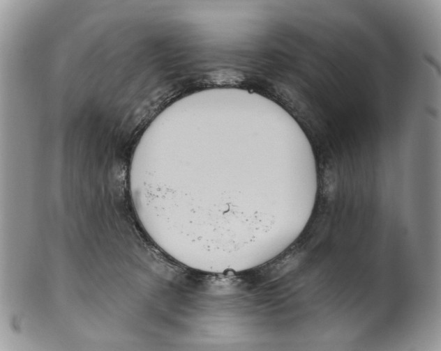 X0000099500321200806051129