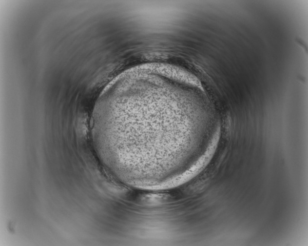 X0000099500323200806051129