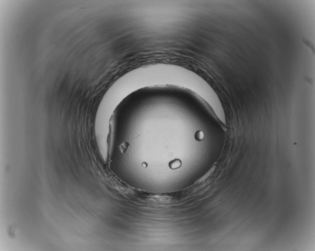 X0000099500328200806051129