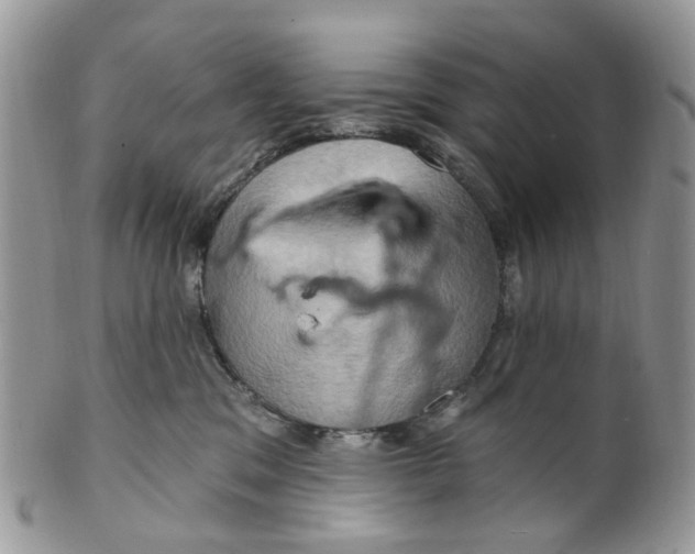 X0000099500329200806051129