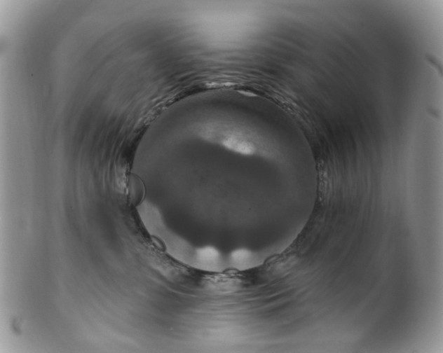 X0000099500331200806051129