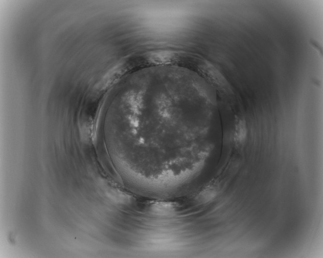 X0000099500332200806051129