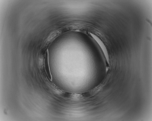 X0000099500333200806051129