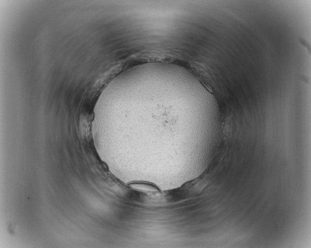 X0000099500335200806051129