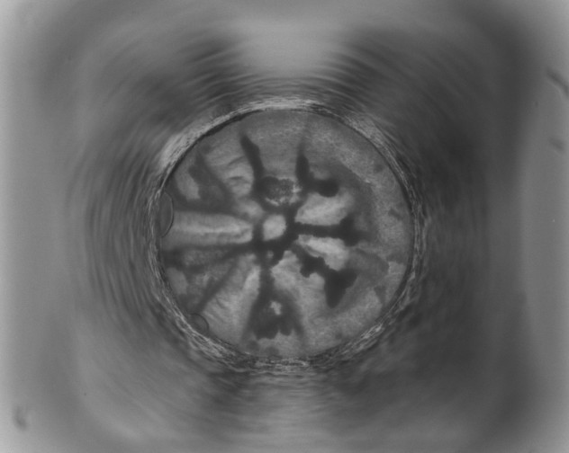 X0000099500337200806051128