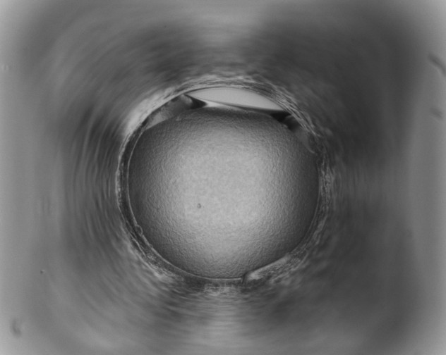 X0000099500340200806051128