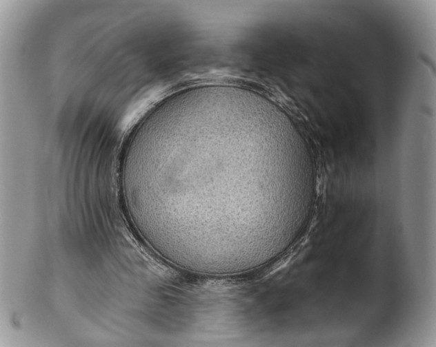 X0000099500341200806051128