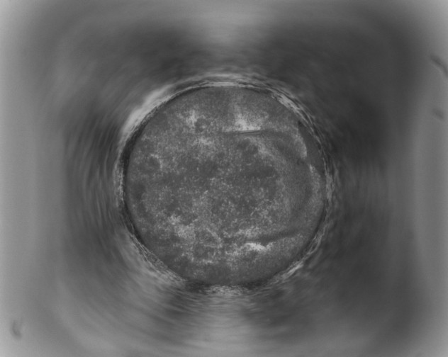 X0000099500343200806051128