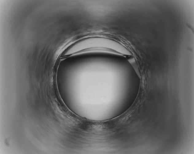 X0000099500344200806051128