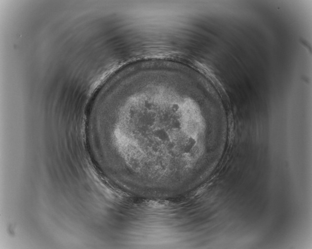 X0000099500346200806051128