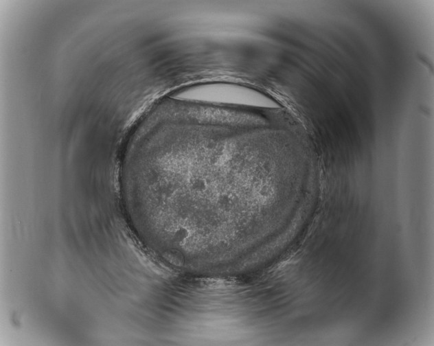 X0000099500347200806051128