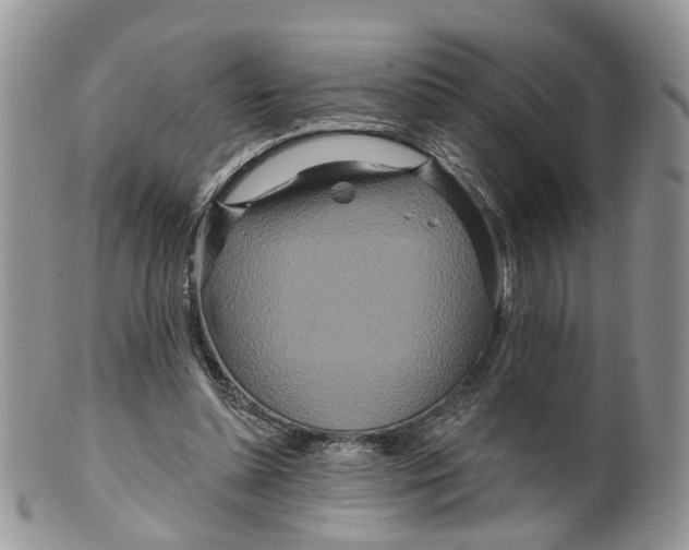 X0000099500348200806051128