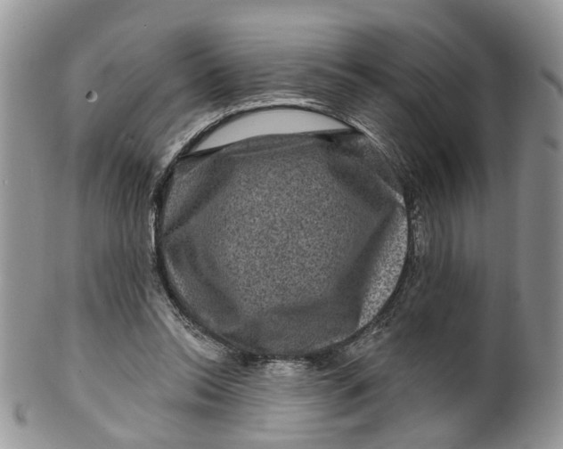 X0000099500350200806051128