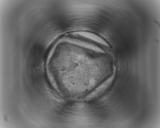 X0000099500351200806051128