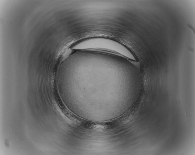 X0000099500352200806051128