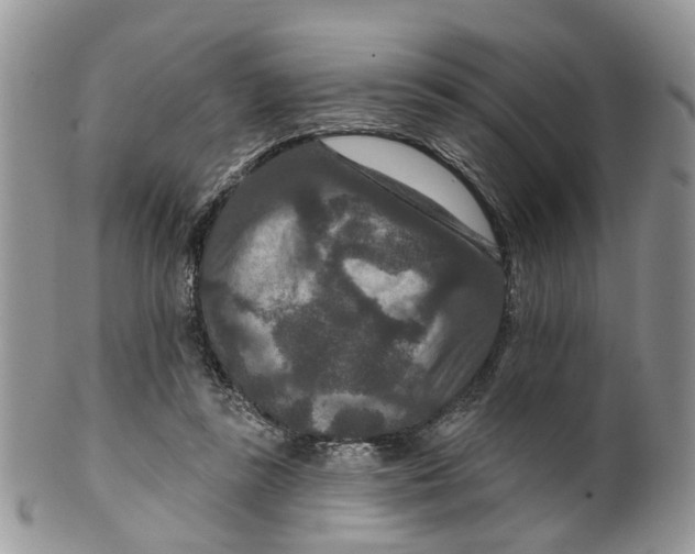 X0000099500355200806051128