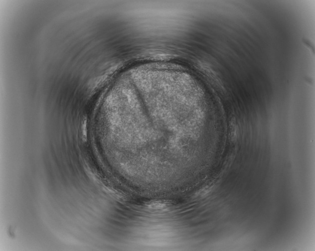 X0000099500358200806051128