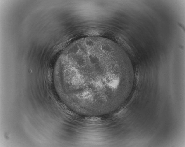 X0000099500359200806051128